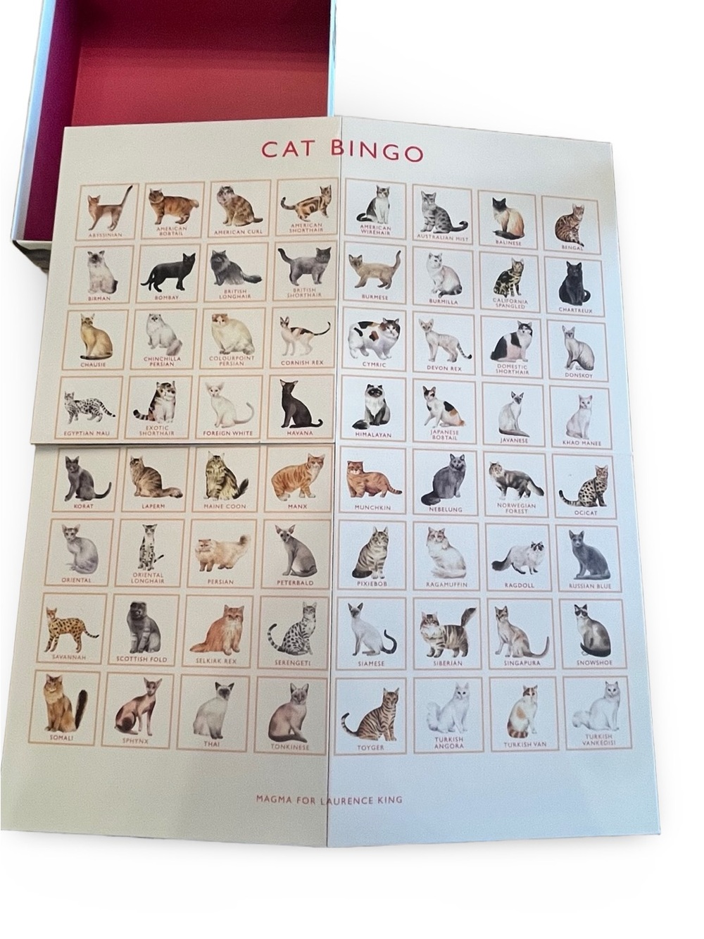 Cat Bingo Game - Picture 6 of 8